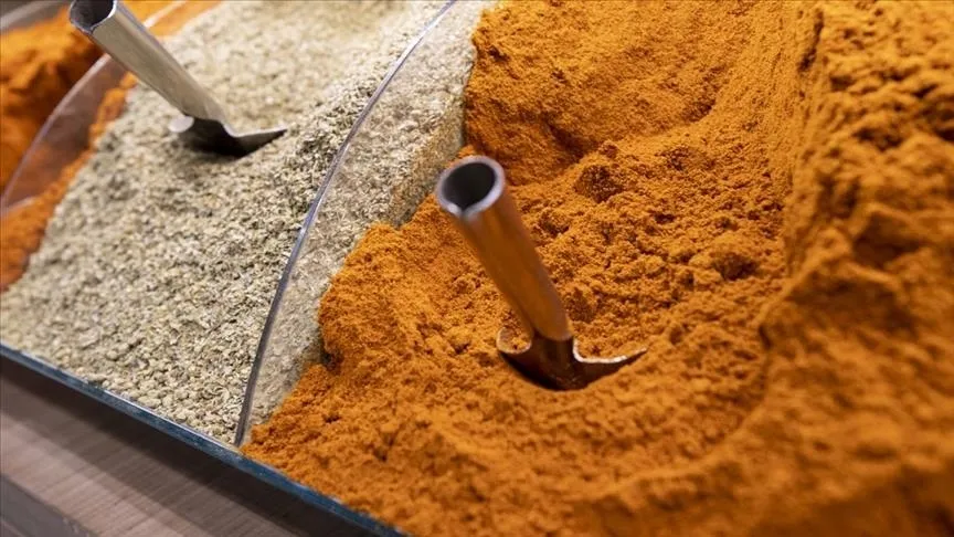 Türk baharatı 156 ülkede yemeklere tat katıyor