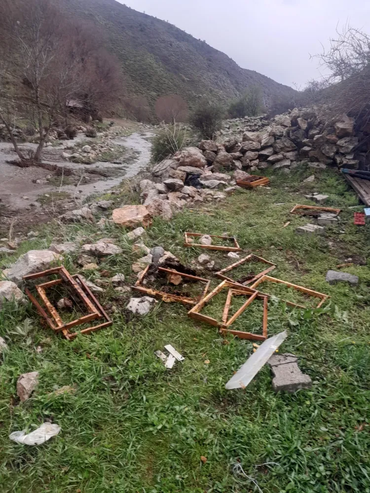Ayılar arı kovanlarına zarar verdi
