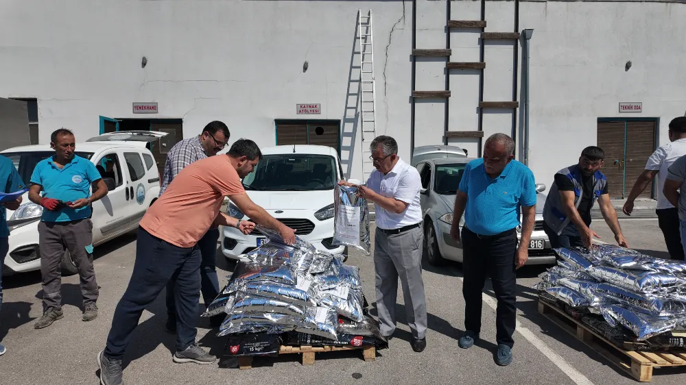 İlçe belediyelerine sokak hayvanlarını toplama eğitimi