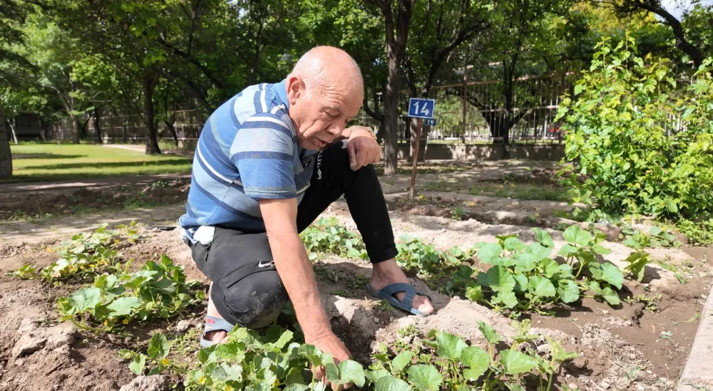 Huzurevi sakinleri hobi bahçesinde hayat buluyor