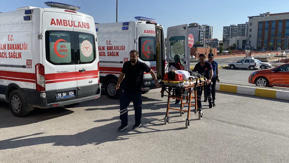 Ulaş Kaymakamı trafik kazasında yaralandı