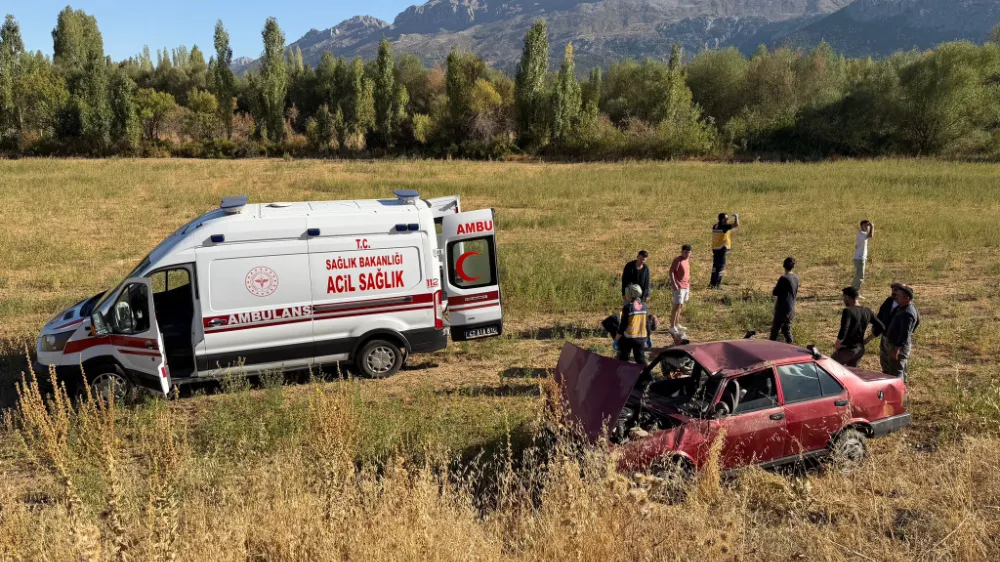 Boş araziye giren otomobildeki çift yaralandı