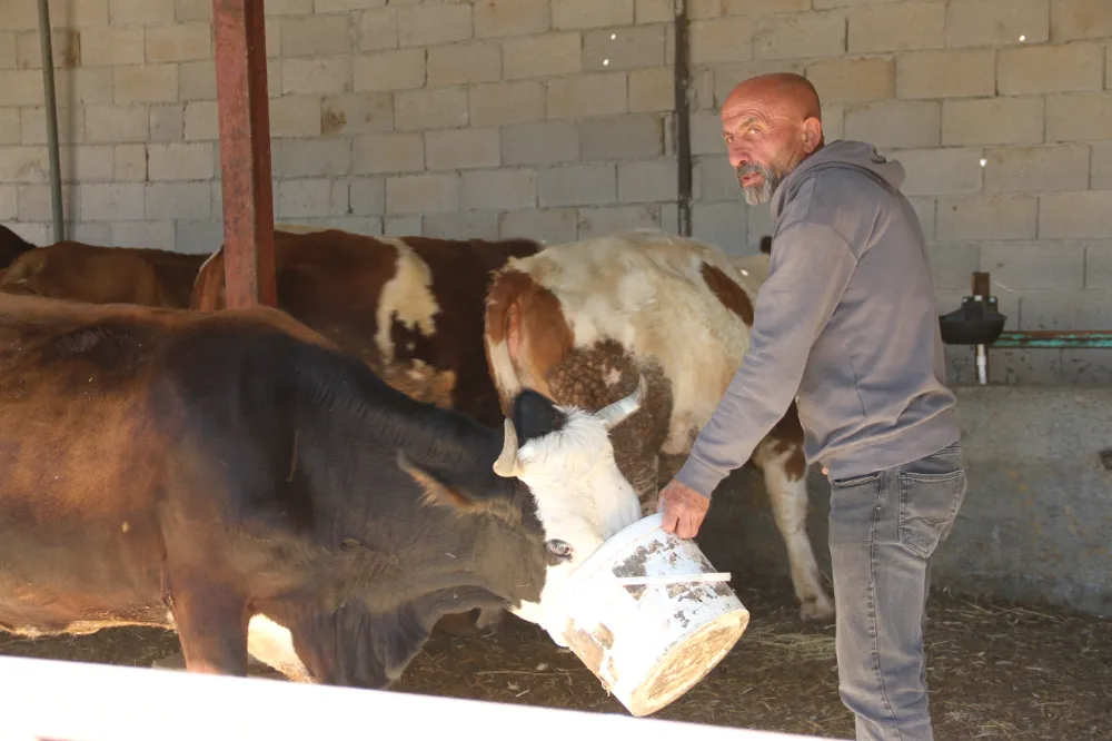 Eski hükümlü, devlet desteğiyle başladığı hayvancılığı 6 yıldır sürdürüyor