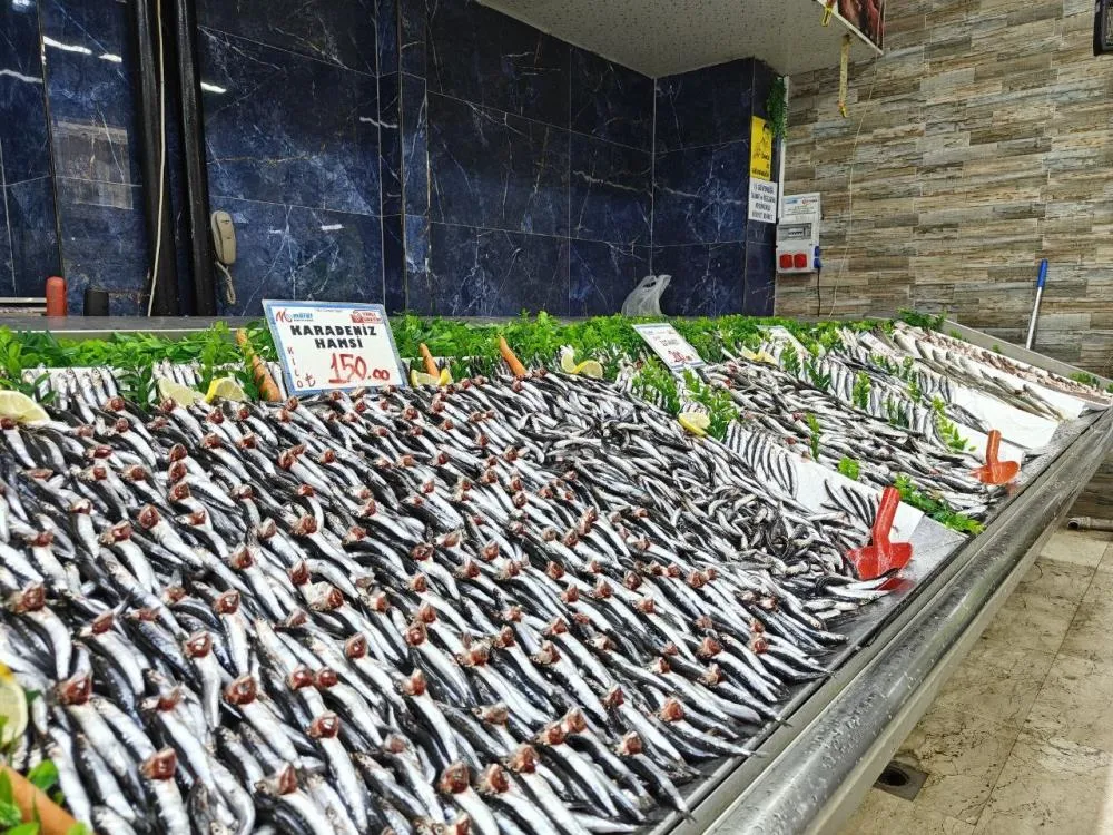  Balık tezgahları şenlendi