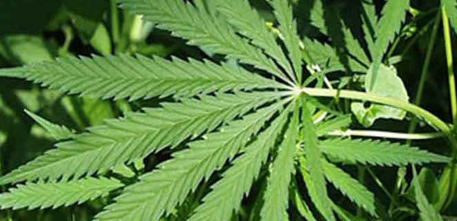 JANDARMADAN ESRAR OPERASYONU 