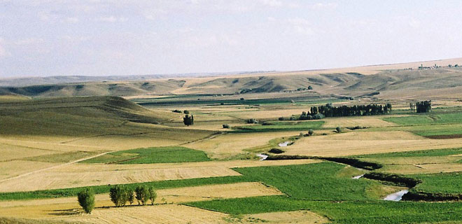 DEVLET  HAZİNE ARAZİLERİNİ SATIŞA ÇIKARDI