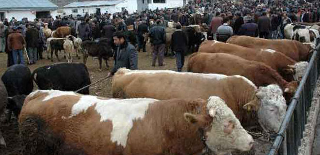 KURBAN KESİM ÜCRETLERİ DE AÇIKLANDI