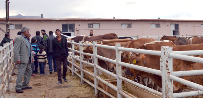 KURBAN KESEN VATANDAŞLARA ÖNEMLİ UYARI