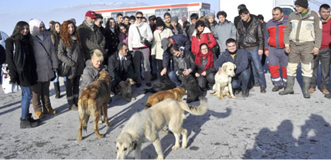 HAYVANSEVERLER  ZİYARET ETTİ