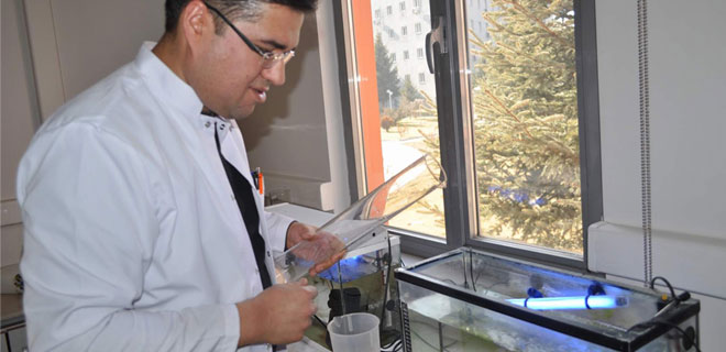 BALIKLARLA SUDA ZEHİR TESTİ YAPILIYOR 