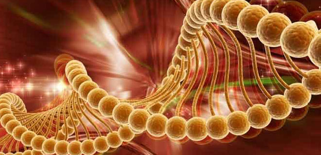 MUCİZEVİ TEDAVİ KÖK HÜCRE