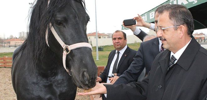 HAYVANLARI ELİYLE BESLEDİ