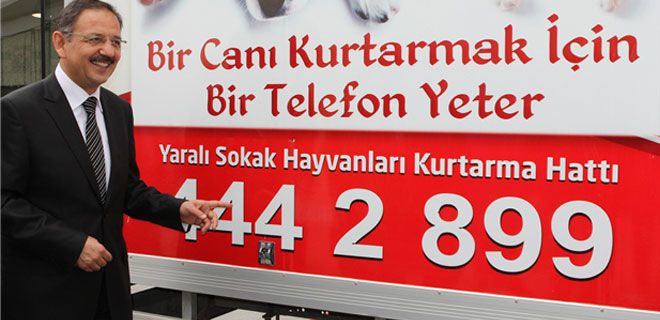 “KAYSERİ`DEKİ Her Canlıyı Düşünüyoruz“