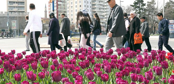 BÜYÜKŞEHİR  İLİMİZİ  GÜL BAHÇESİNE  DÖNÜŞTÜRDÜ
