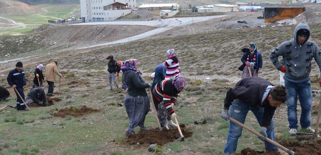 AĞAÇLANDIRMA ÇALIŞMALARI HIZ KAZANIYOR
