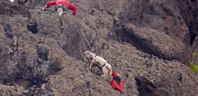AKUT`TAN KEÇİ KURTARMA OPERASYONU 