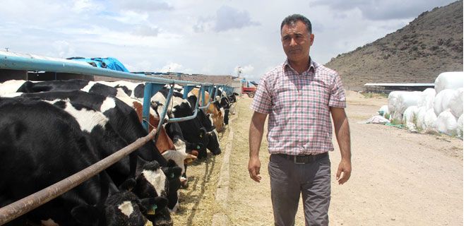 KAYSERİ İLİ DAMIZLIK SIĞIR YETİŞTİRİCİLERİ 