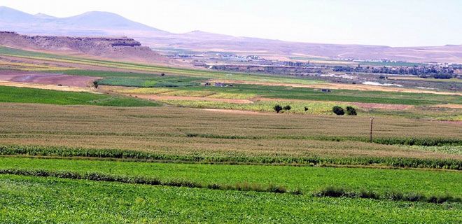 PANCARDA POLAR ORANINI YÜKSELTMEYE DOĞAL ÇÖZÜM