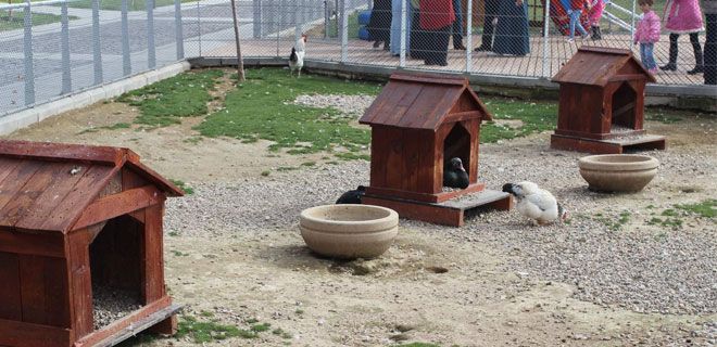 HAYVANAT BAHÇESİ  KIŞ  HAZIRLIKLARINI TAMAMLADI