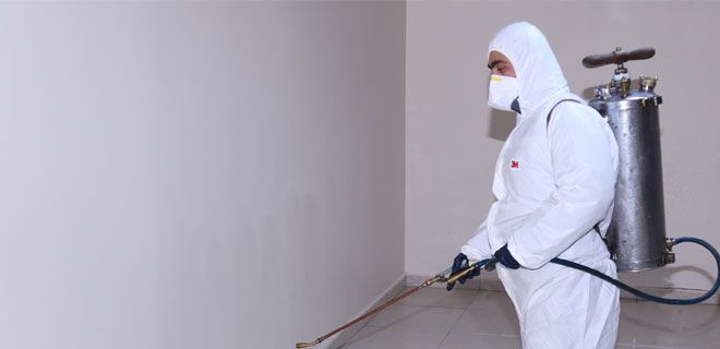 Kocasinan 2015 Haşere Mücadelesine Başladı