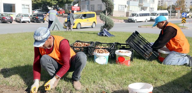 LALE VE SÜMBÜLLER TOPRAKLA BULUŞTU
