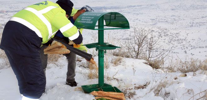 TALAS BELEDİYESİ HAYVANLARI UNUTMADI