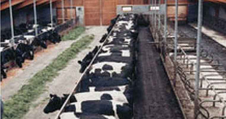  AHIRLAR MERKEZLERiN DIŞINA!