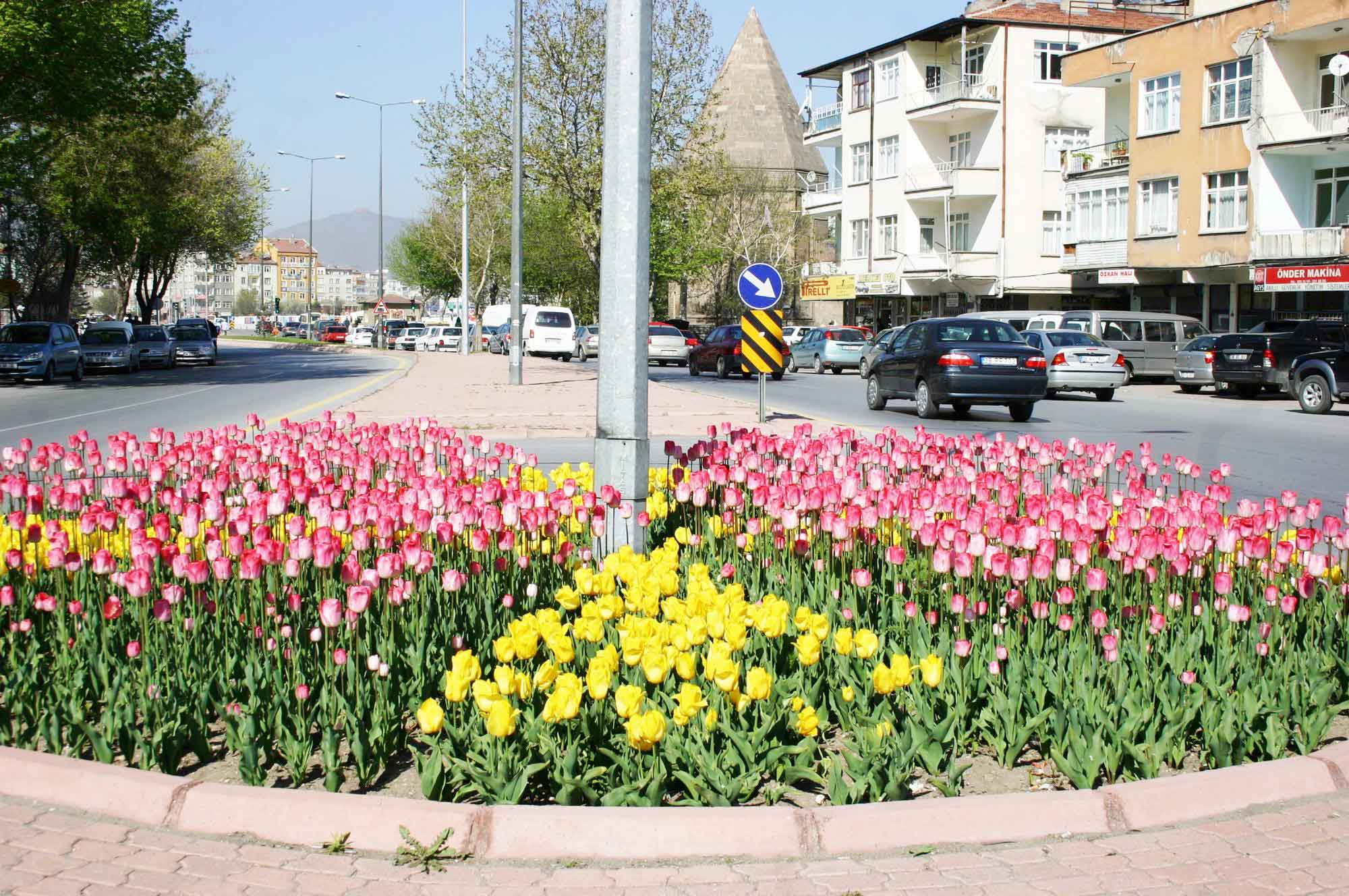 GERİ DÖNÜŞÜM ATIKLAI İLE 40 BİN LALE SOĞANI ALINDI