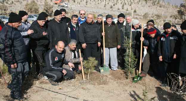 240 BİN FİDANLIK BOYDAK ORMANI’NDAKİ ‘KAPLANLAR’