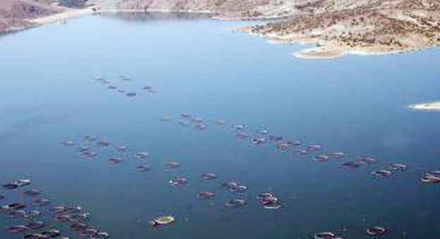 SU ÜRÜNLERİ İŞLETMELERİ BÜYÜYOR