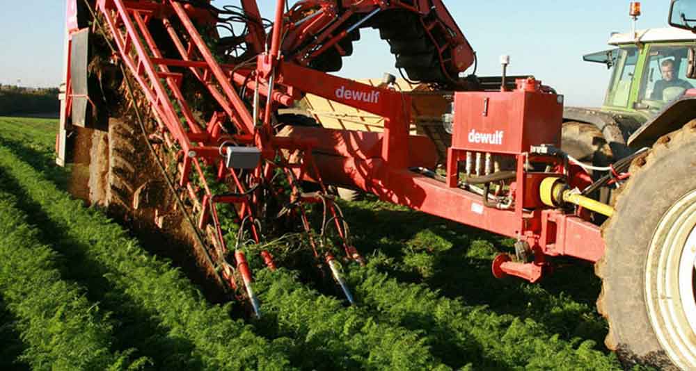 ORGANİK TARIM DESTEĞİ