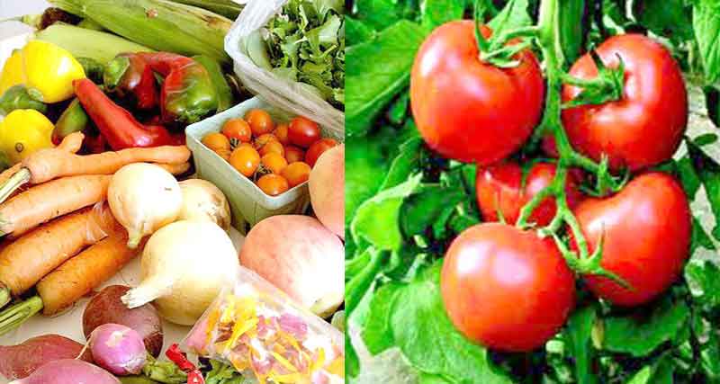 KÖYDE YETİŞEN HER ÜRÜN ORGANİK DEĞİLDİR