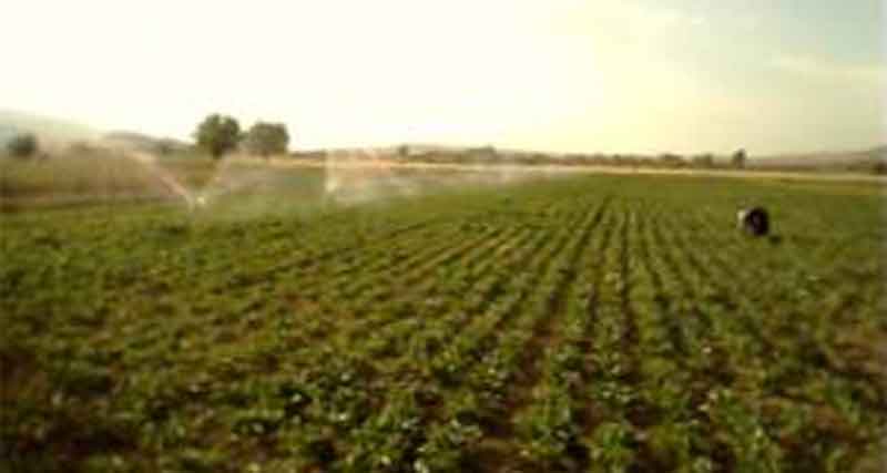 TOPRAĞIN SİNSİ DÜŞMANI ŞEKER PANCARI EROZYONU 