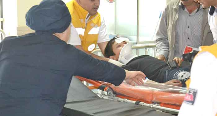 CEVİZ AĞACINDAN DÜŞTÜ HASTANELİK OLDU