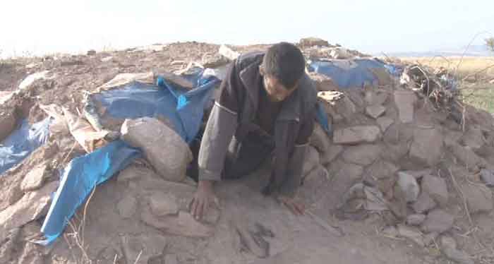 İNSANLARA KÜSÜP DAĞA ÇIKAN AKTAŞ'IN DRAMI YÜREK BURKUYOR