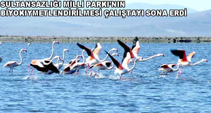 SULTANSAZLIĞI ÇALIŞTAYI SONA ERDİ