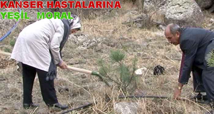 KANSER HASTALARINA  YEŞİL  MORAL 