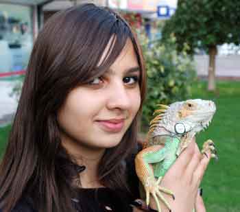 EVİNDE İGUANA BESLİYOR 