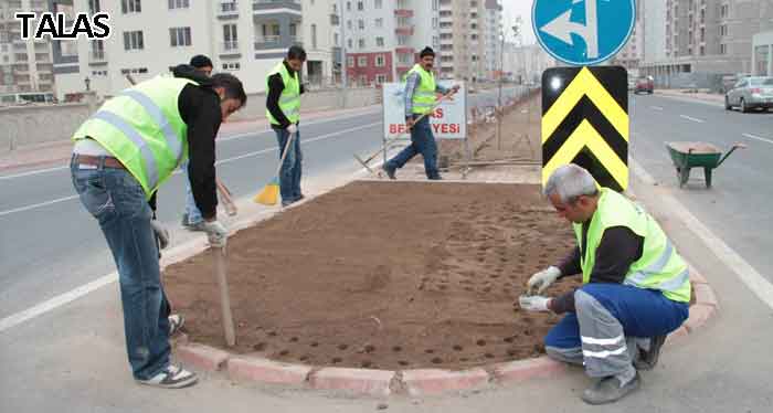 TALAS RENGARENK OLACAK