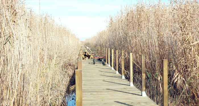 KUŞ CENNETİNE 1 KİLOMETRELİK AHŞAP 