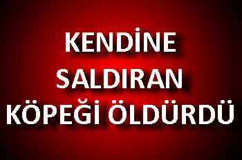 KENDİNE SALDIRAN KÖPEĞİ ÖLDÜRDÜ