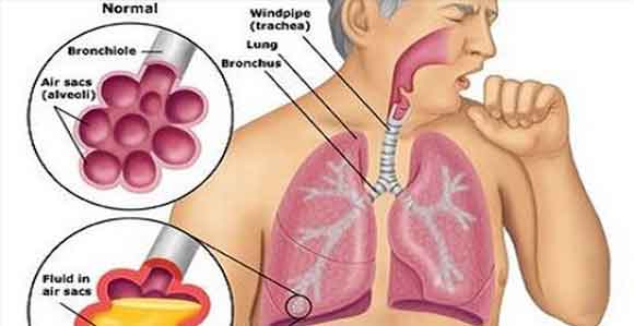 UZMAN DR. YAHYA GÜNGÖR: 