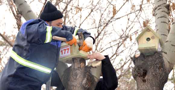 KOCASİNAN BELEDİYESİNDEN KUŞLARA YUVA ŞEFKATİ