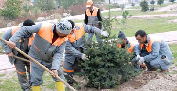 İŞSİZLİĞE KARŞI BELEDİYE DESTEĞİ