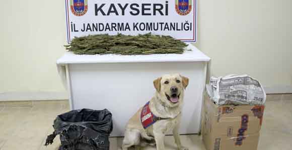 YOCU OTOBÜSÜNDE ESRAR ELE GEÇİRİLDİ