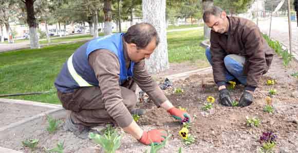 KOCASİNAN ÇİÇEKLENDİ