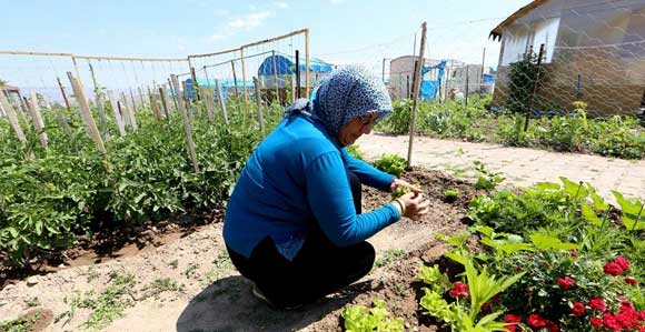 EMEKLİLER ORGANİK BESLENİYOR