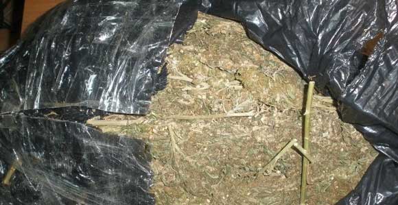 EMNİYETTEN UYUŞTURUCU OPERASYONU